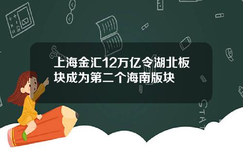 上海金汇12万亿令湖北板块成为第二个海南版块