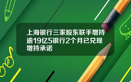 上海银行三家股东联手增持逾19亿5银行2个月已兑现增持承诺