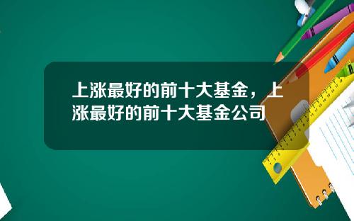 上涨最好的前十大基金，上涨最好的前十大基金公司