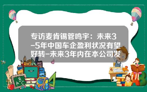专访麦肯锡管鸣宇：未来3-5年中国车企盈利状况有望好转-未来3年内在本公司发展方向与期望【新闻】.