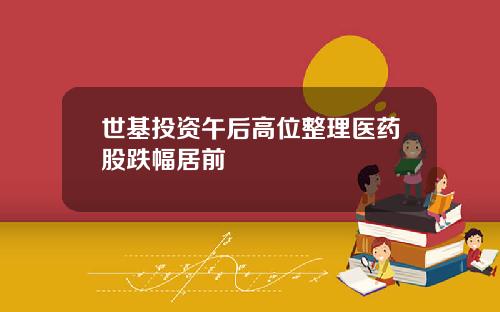 世基投资午后高位整理医药股跌幅居前