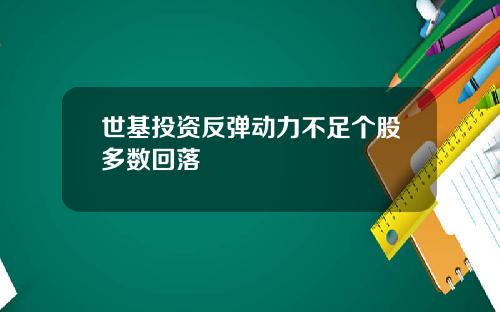 世基投资反弹动力不足个股多数回落