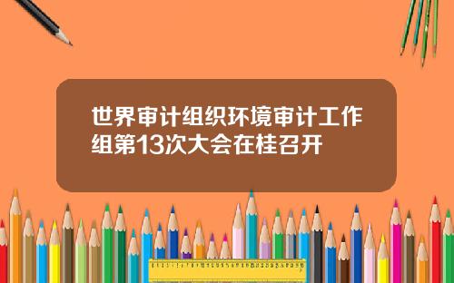世界审计组织环境审计工作组第13次大会在桂召开