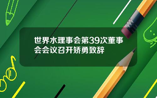 世界水理事会第39次董事会会议召开矫勇致辞