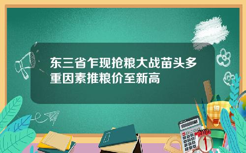 东三省乍现抢粮大战苗头多重因素推粮价至新高