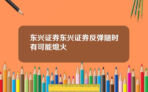 东兴证券东兴证券反弹随时有可能熄火