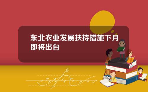 东北农业发展扶持措施下月即将出台