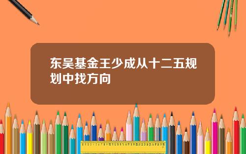 东吴基金王少成从十二五规划中找方向