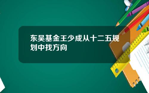 东吴基金王少成从十二五规划中找方向