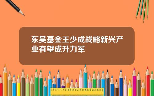 东吴基金王少成战略新兴产业有望成升力军