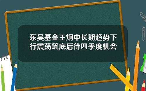 东吴基金王炯中长期趋势下行震荡筑底后待四季度机会