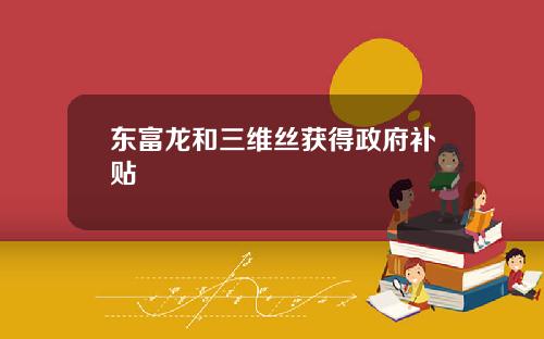 东富龙和三维丝获得政府补贴