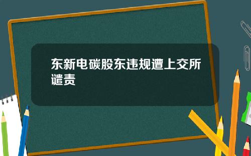 东新电碳股东违规遭上交所谴责