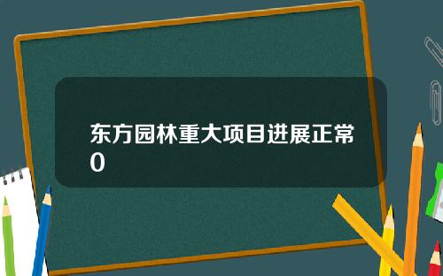 东方园林重大项目进展正常0