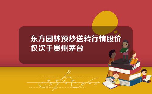 东方园林预炒送转行情股价仅次于贵州茅台