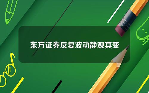 东方证券反复波动静观其变