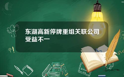 东湖高新停牌重组关联公司受益不一