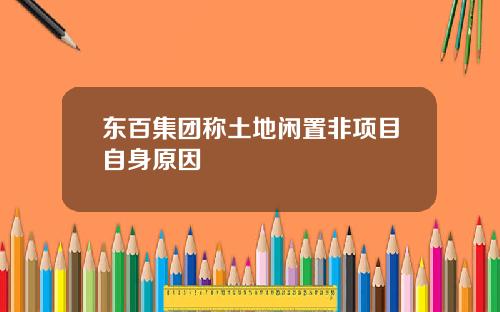 东百集团称土地闲置非项目自身原因