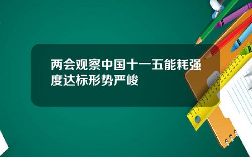 两会观察中国十一五能耗强度达标形势严峻