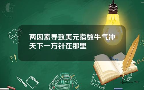 两因素导致美元指数牛气冲天下一方针在那里