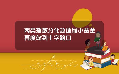 两类指数分化急速缩小基金再度站到十字路口