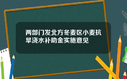 两部门发北方冬麦区小麦抗旱浇水补助金实施意见
