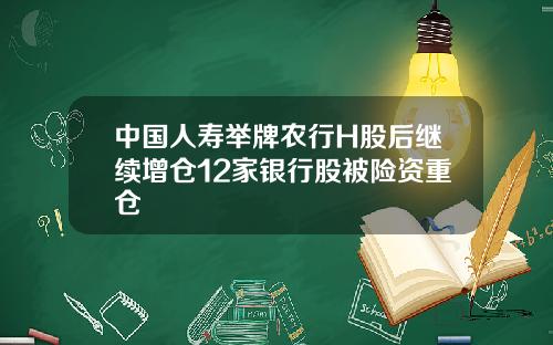 中国人寿举牌农行H股后继续增仓12家银行股被险资重仓
