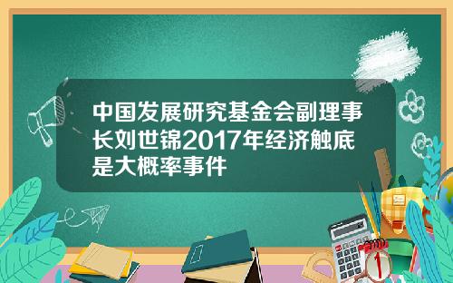 中国发展研究基金会副理事长刘世锦2017年经济触底是大概率事件