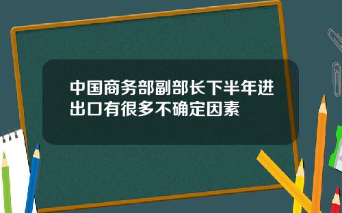 中国商务部副部长下半年进出口有很多不确定因素