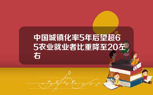 中国城镇化率5年后望超65农业就业者比重降至20左右