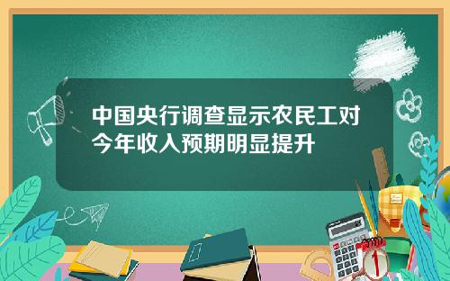 中国央行调查显示农民工对今年收入预期明显提升