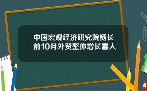 中国宏观经济研究院杨长湧前10月外贸整体增长喜人