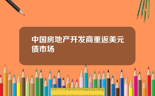 中国房地产开发商重返美元债市场