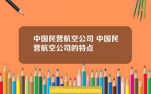 中国民营航空公司 中国民营航空公司的特点
