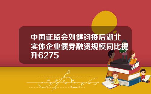 中国证监会刘健钧疫后湖北实体企业债券融资规模同比提升6275