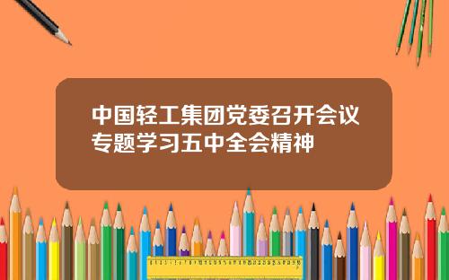中国轻工集团党委召开会议专题学习五中全会精神