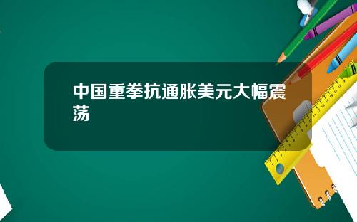 中国重拳抗通胀美元大幅震荡