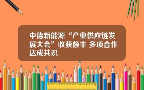 中德新能源“产业供应链发展大会”收获颇丰 多项合作达成共识