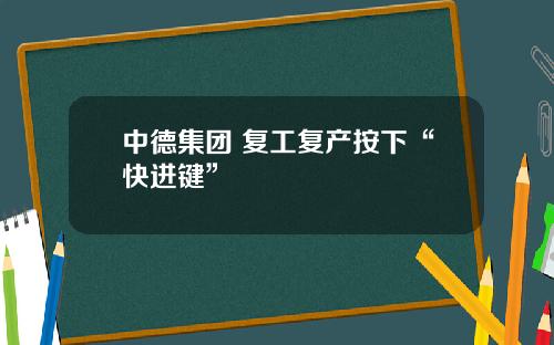 中德集团 复工复产按下“快进键”