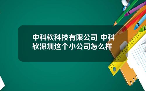 中科软科技有限公司 中科软深圳这个小公司怎么样