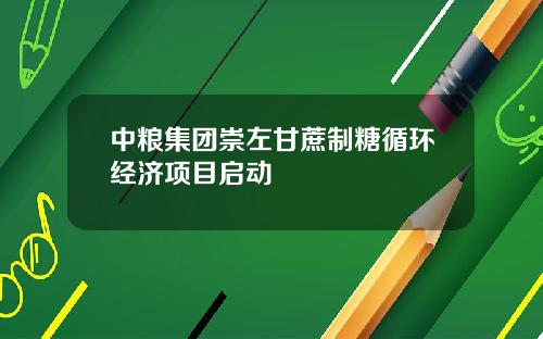 中粮集团崇左甘蔗制糖循环经济项目启动