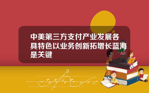 中美第三方支付产业发展各具特色以业务创新拓增长蓝海是关键