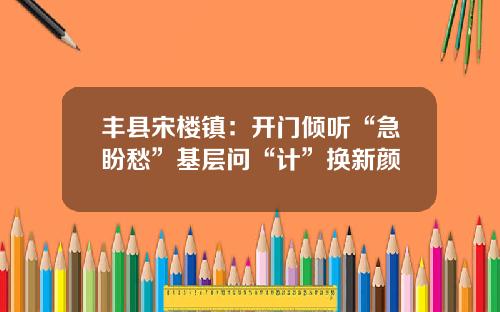 丰县宋楼镇:开门倾听“急盼愁”基层问“计”换新颜