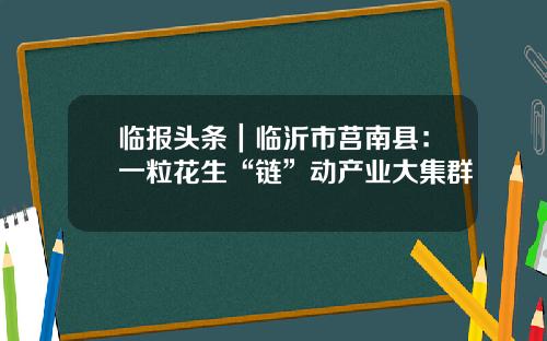 临报头条｜临沂市莒南县：一粒花生“链”动产业大集群