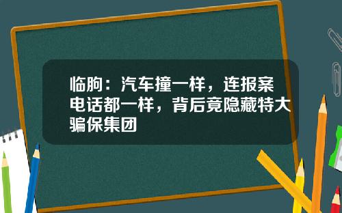 临朐：汽车撞一样，连报案电话都一样，背后竟隐藏特大骗保集团