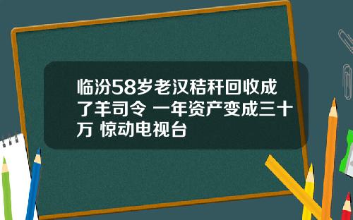 临汾58岁老汉秸秆回收成了羊司令 一年资产变成三十万 惊动电视台