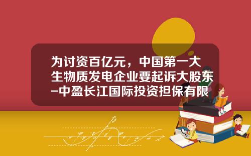 为讨资百亿元，中国第一大生物质发电企业要起诉大股东-中盈长江国际投资担保有限公司股权评估说明