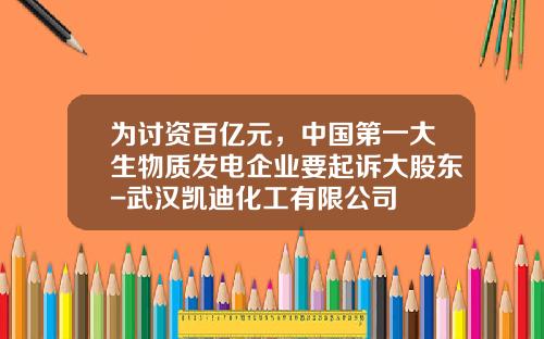 为讨资百亿元，中国第一大生物质发电企业要起诉大股东-武汉凯迪化工有限公司
