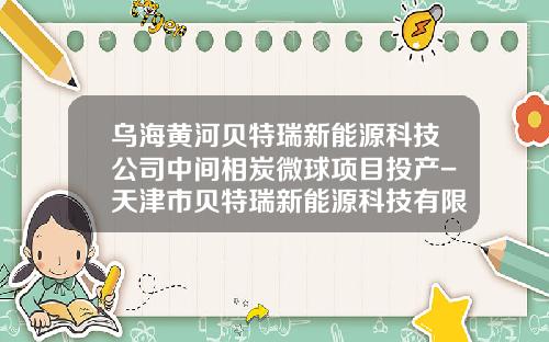 乌海黄河贝特瑞新能源科技公司中间相炭微球项目投产-天津市贝特瑞新能源科技有限公司