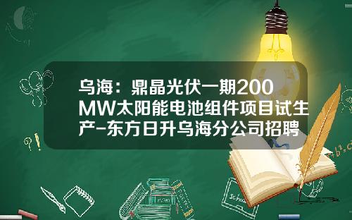 乌海：鼎晶光伏一期200MW太阳能电池组件项目试生产-东方日升乌海分公司招聘